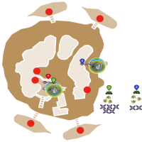 Tropics of Etheria Nightmare Campaign