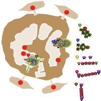 Tropics Survival NMHCMM 32-35 4 Player Support (NoStack) + Video