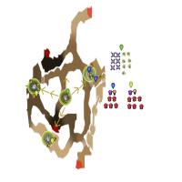 EDD City in the Cliffs Survival