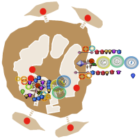 another squire map here tropics nm hc survival