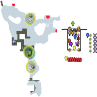 WinterMire Solid Build NMHC Campain