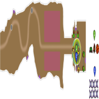 Spring Valley Ruthless Challenge